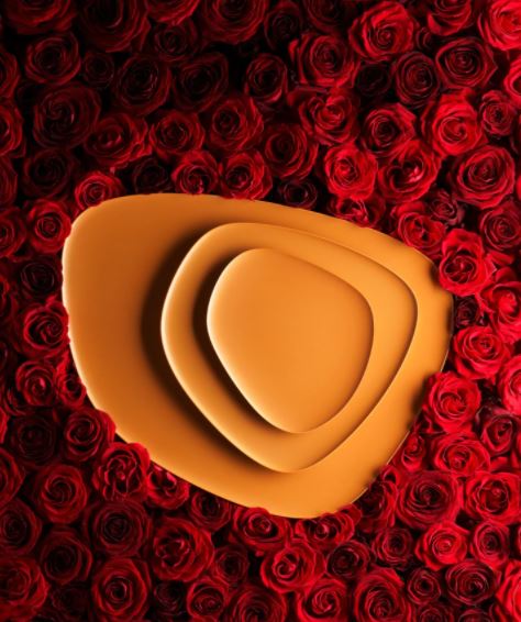 Kartell Namaste