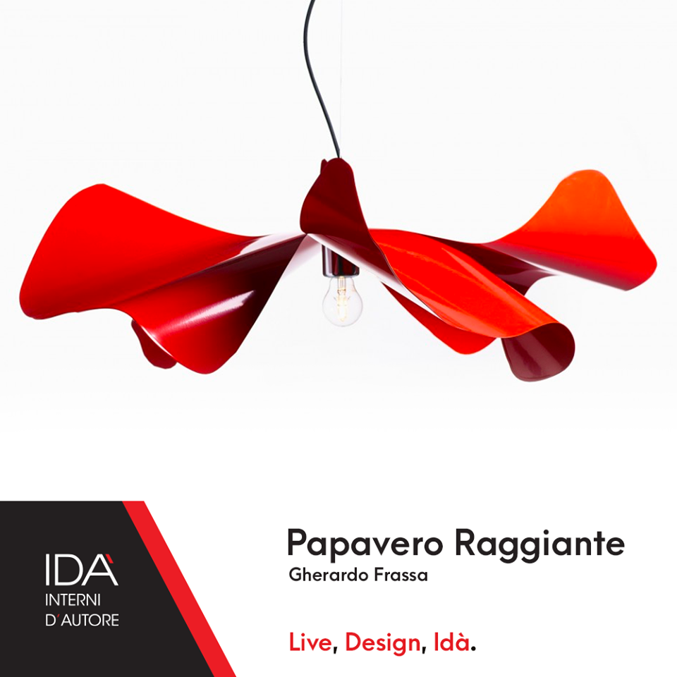 Papavero raggiante